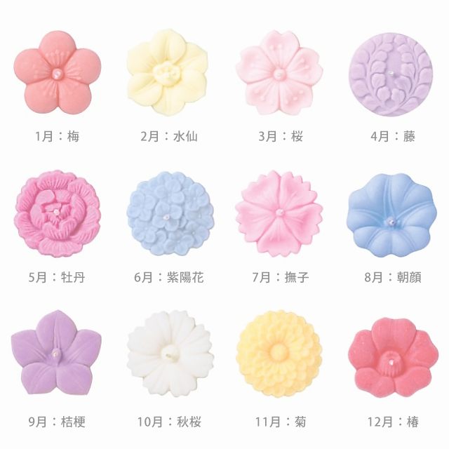 あかりの花めぐり