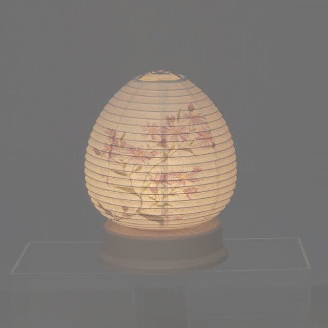 盆提灯 新盆用提灯 白紋天・桔梗セット